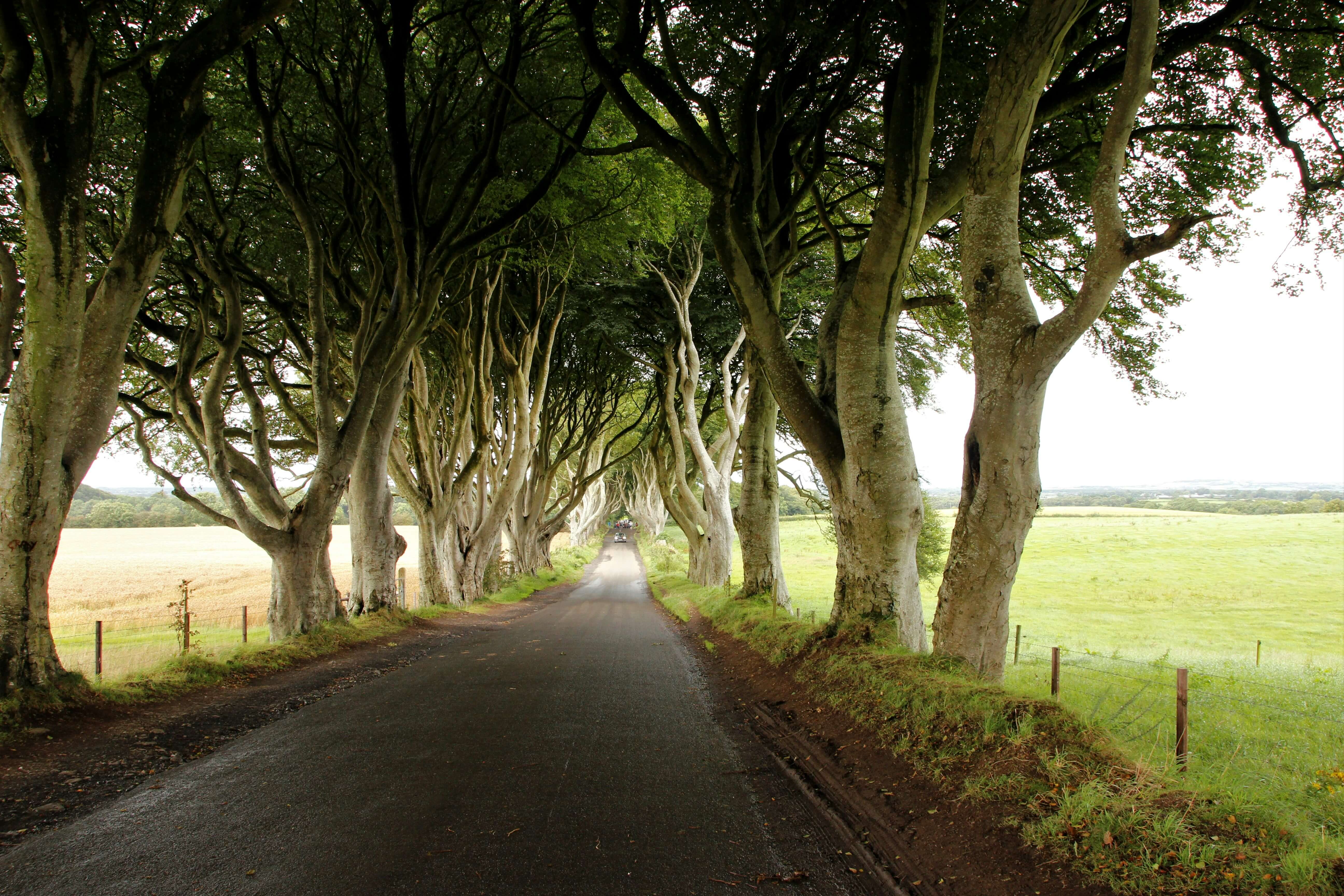 Car finance in northern ireland.jpg